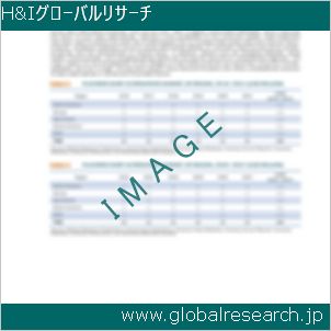 グローバルリサーチ調査レポートのイメージ